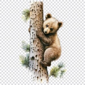 Watercolor baby bear climbing tree clipart