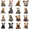 Watercolor baby bear portrait clipart bundle