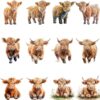 Watercolor baby Highland cow clipart bundle