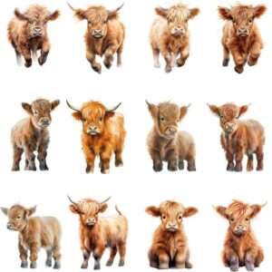 Watercolor baby Highland cow clipart bundle