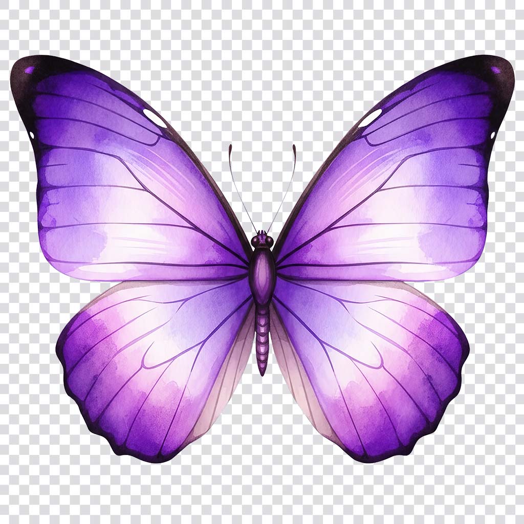 Watercolor butterfly clipart