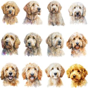 Watercolor Goldendoodle portrait clipart bundle