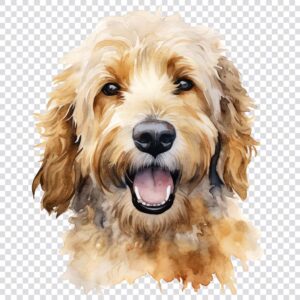 Watercolor Goldendoodle portrait clipart