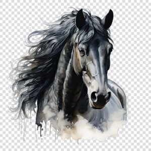 Watercolor horse portrait clipart