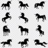 Unicorn silhouette SVG bundle