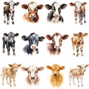 Watercolor baby cow clipart bundle