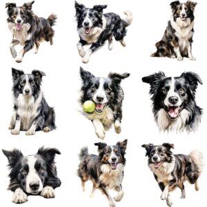 Watercolor Border Collie clipart bundle