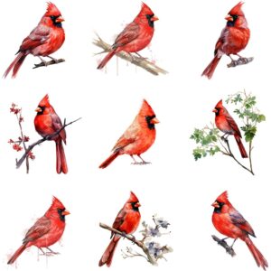 Watercolor cardinal clipart bundle