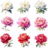 Watercolor peony clipart bundle