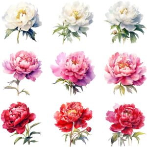 Watercolor peony clipart bundle