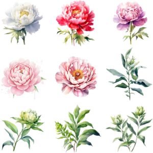 Watercolor peony clipart bundle