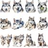 Watercolor Siberian Husky clipart bundle