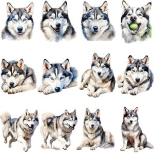 Watercolor Siberian Husky clipart bundle