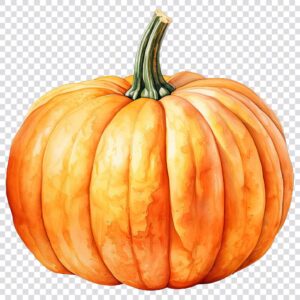 Watercolor pumpkin clipart