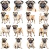 Watercolor pug clipart bundle
