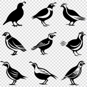 Quail silhouette SVG bundle