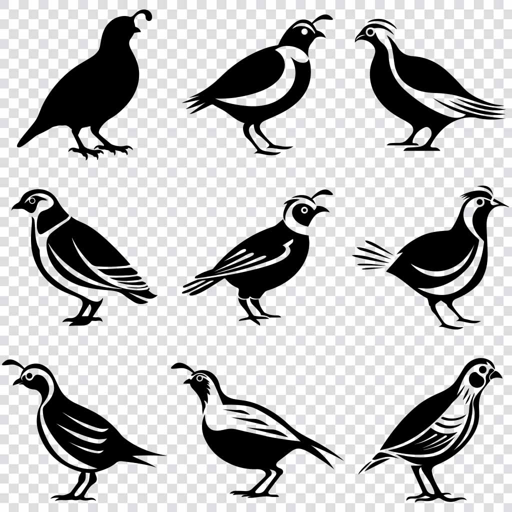 Quail silhouette SVG bundle