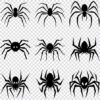 Spider silhouette SVG bundle
