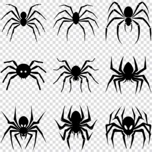 Spider silhouette SVG bundle