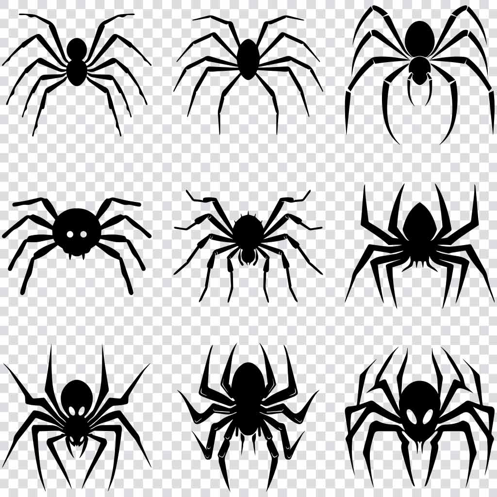 Spider silhouette SVG bundle