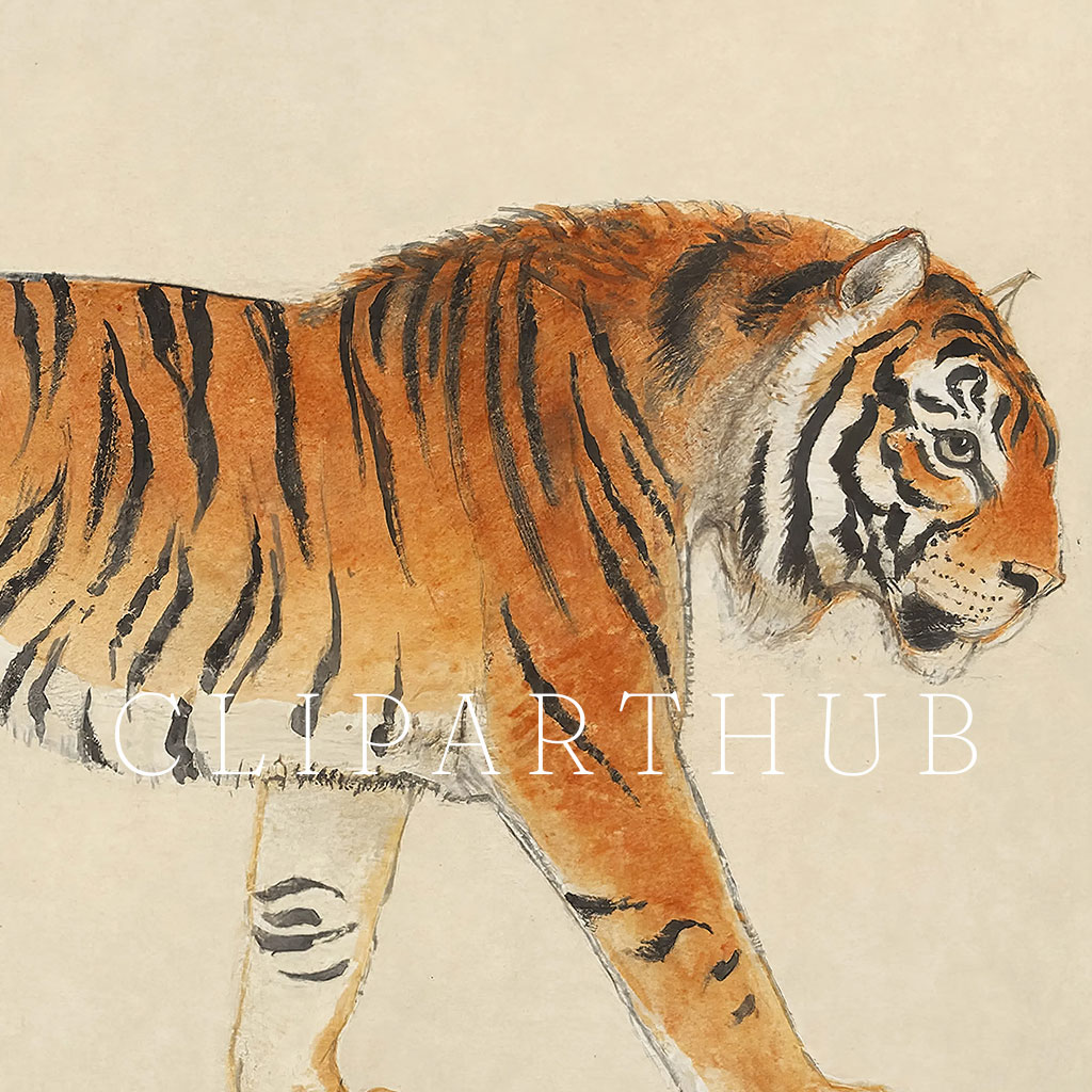 Vintage tiger painting closeup