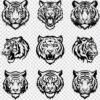 Tiger head silhouette SVG bundle