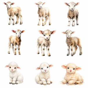 Lamb watercolor clipart bundle