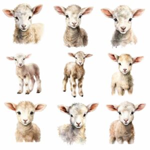 Lamb watercolor clipart bundle