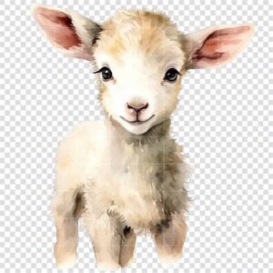 Lamb watercolor clipart