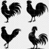 Rooster silhouette SVG bundle