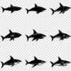 Shark silhouette SVG bundle